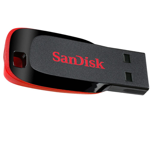 SanDisk Cruzer Blade USB Flash Drive (32GB)